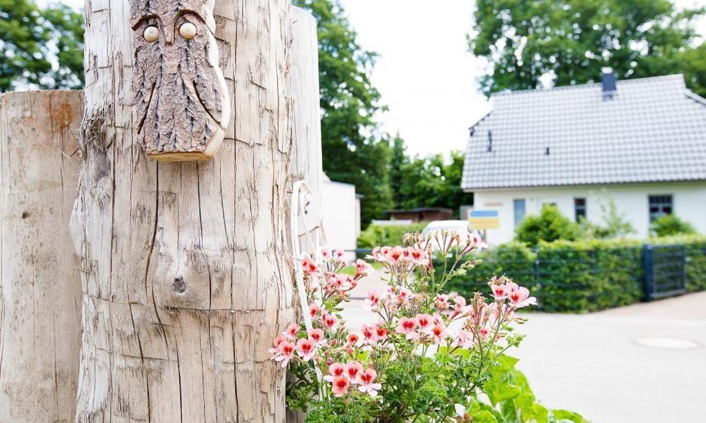 Sonnenblumenhaus 01 Apartment Prerow Bagian luar foto